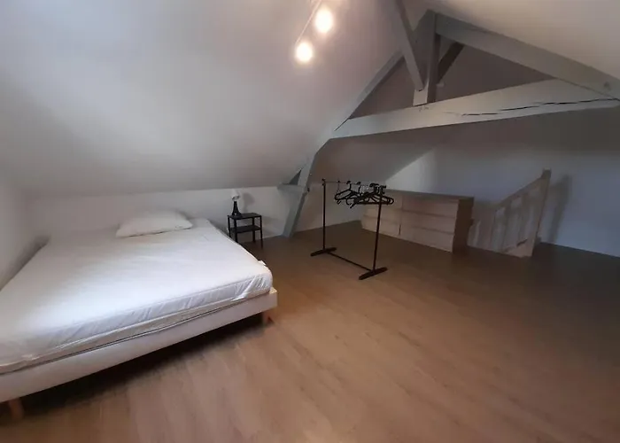 Bel Appartement A 2 Pas Du Chu